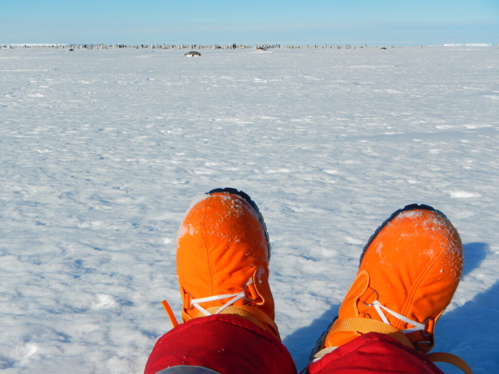 Orange boots, snowy surface. Distant penguin colony.