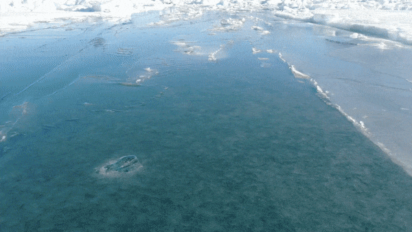 UAV view of ice-filled fjord in Greenland.